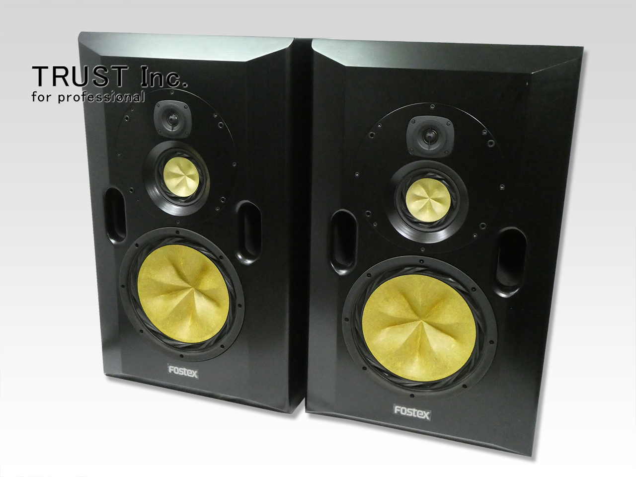 RS-N2 / Monitor Speaker【中古放送用・業務用 映像機器・音響機器の店 - トラスト株式会社】